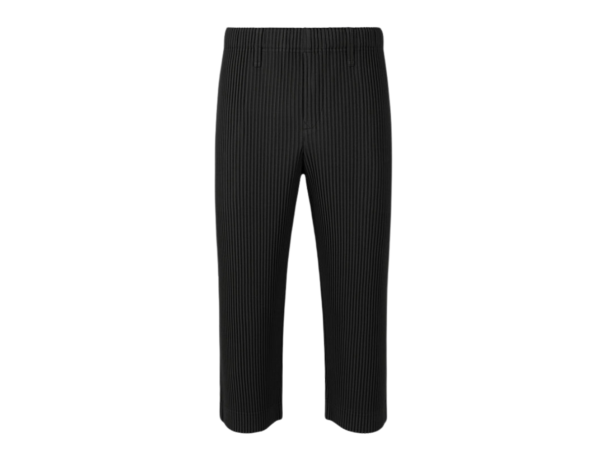 https://d2cva83hdk3bwc.cloudfront.net/homme-plisse-issey-miyake-pleated-trousers-black-1.jpg