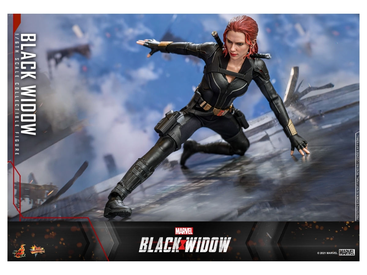 https://d2cva83hdk3bwc.cloudfront.net/hot-toys-black-widow--special-edition--2.jpg