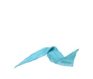 Buy Hermes Twilly Blue at Sasom – Authentic and Ready to Ship