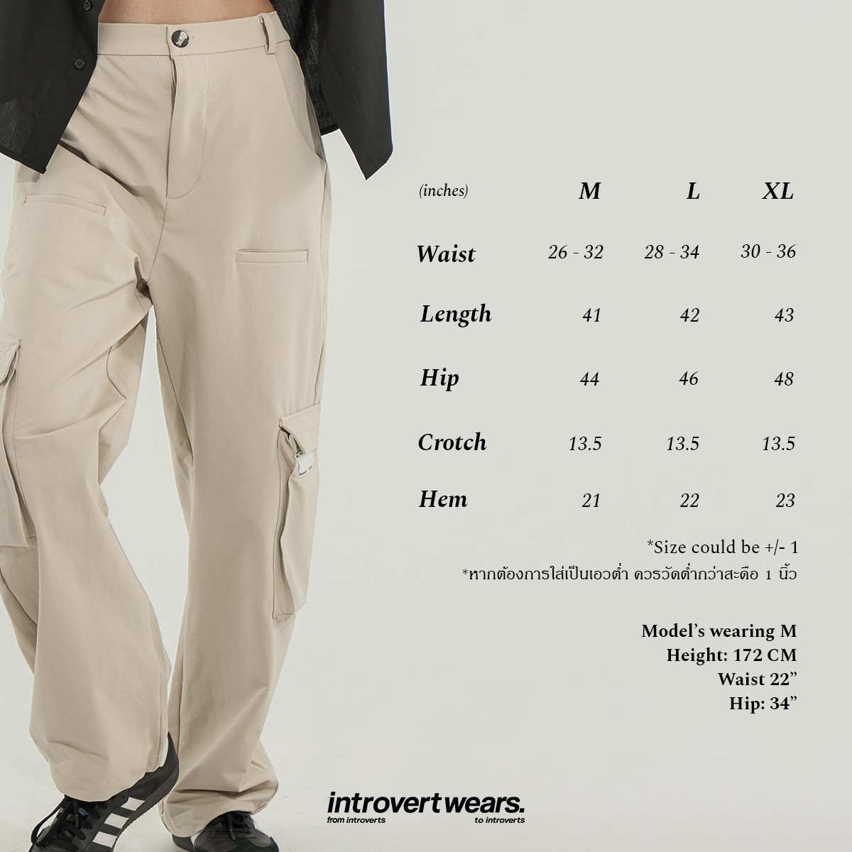 https://d2cva83hdk3bwc.cloudfront.net/introvertwears_introvertwears-%7C-8-pockets-cargo-pants-5.jpg