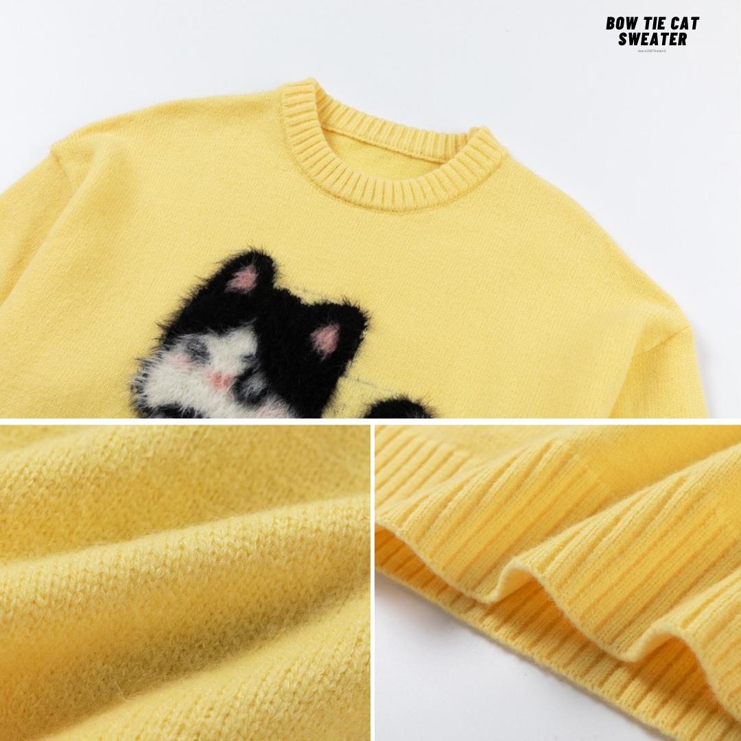 https://d2cva83hdk3bwc.cloudfront.net/jeera-168_jeera168--bow-tie-cat-sweater------------3.jpg