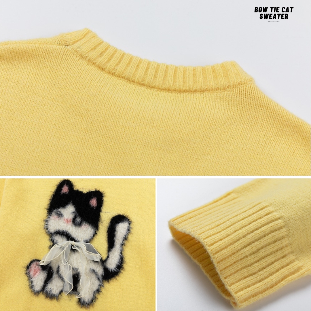 https://d2cva83hdk3bwc.cloudfront.net/jeera-168_jeera168--bow-tie-cat-sweater------------4.jpg