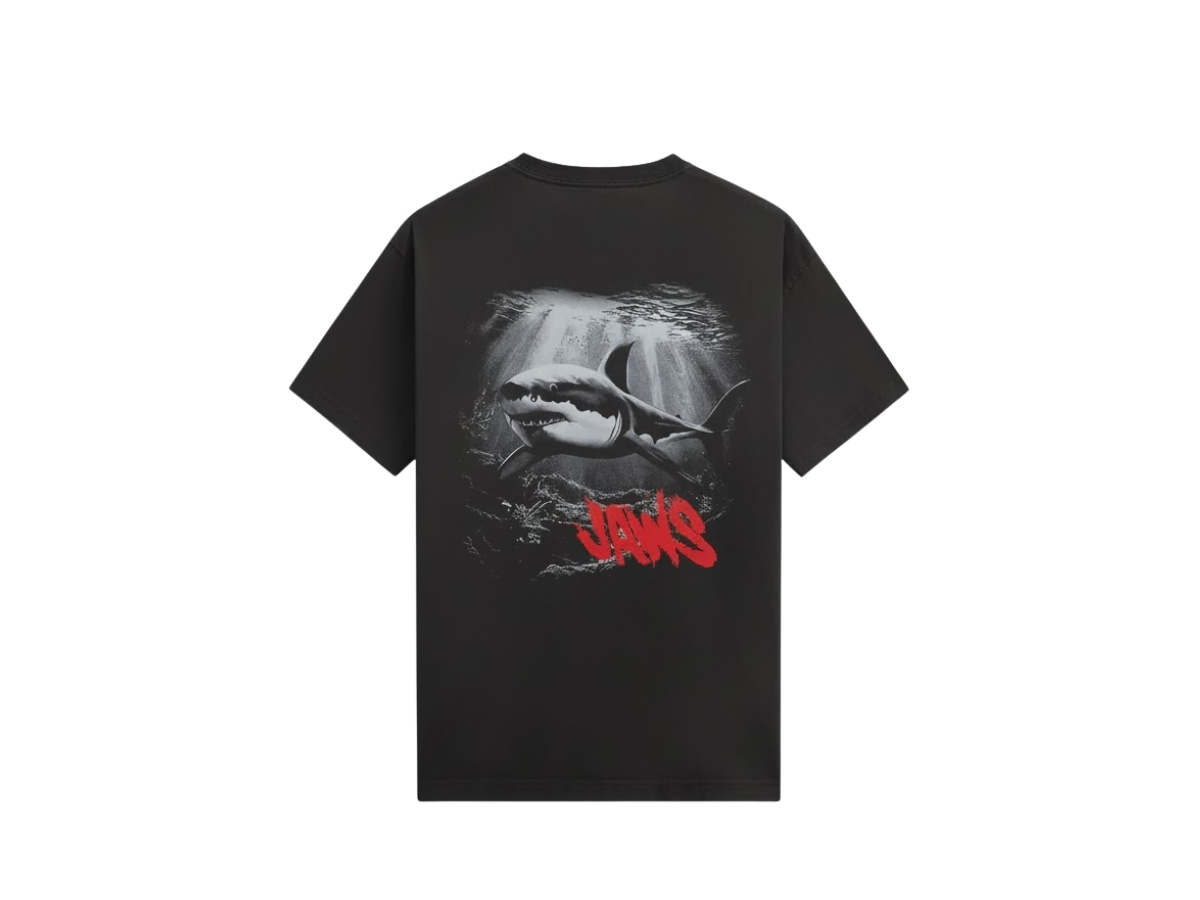 https://d2cva83hdk3bwc.cloudfront.net/khm034442-001-kith-jaws-prey-vintage-tee-black-2.jpg
