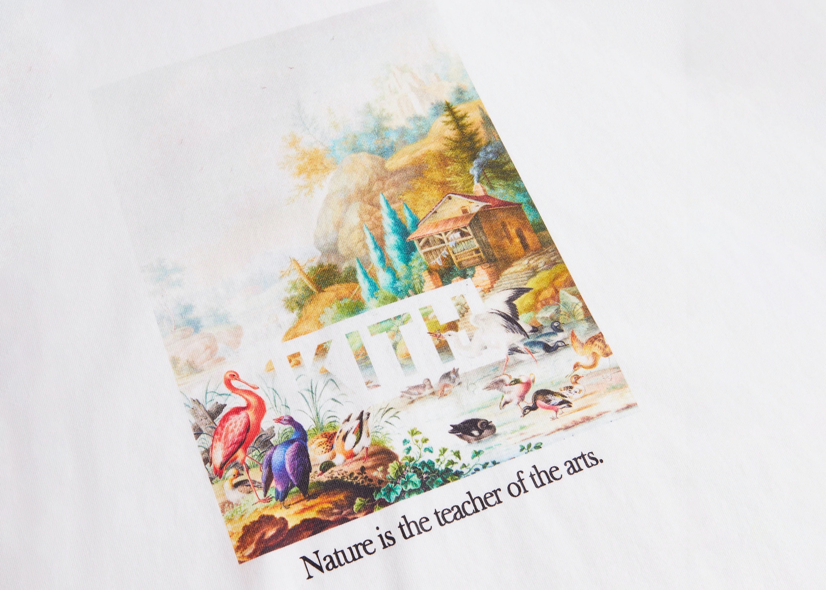 https://d2cva83hdk3bwc.cloudfront.net/kith-art-of-nature-vintage-tee-white-2.jpg