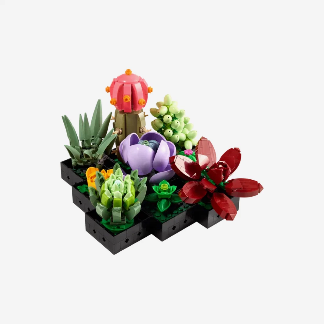 https://d2cva83hdk3bwc.cloudfront.net/lego-succulents-1.jpg