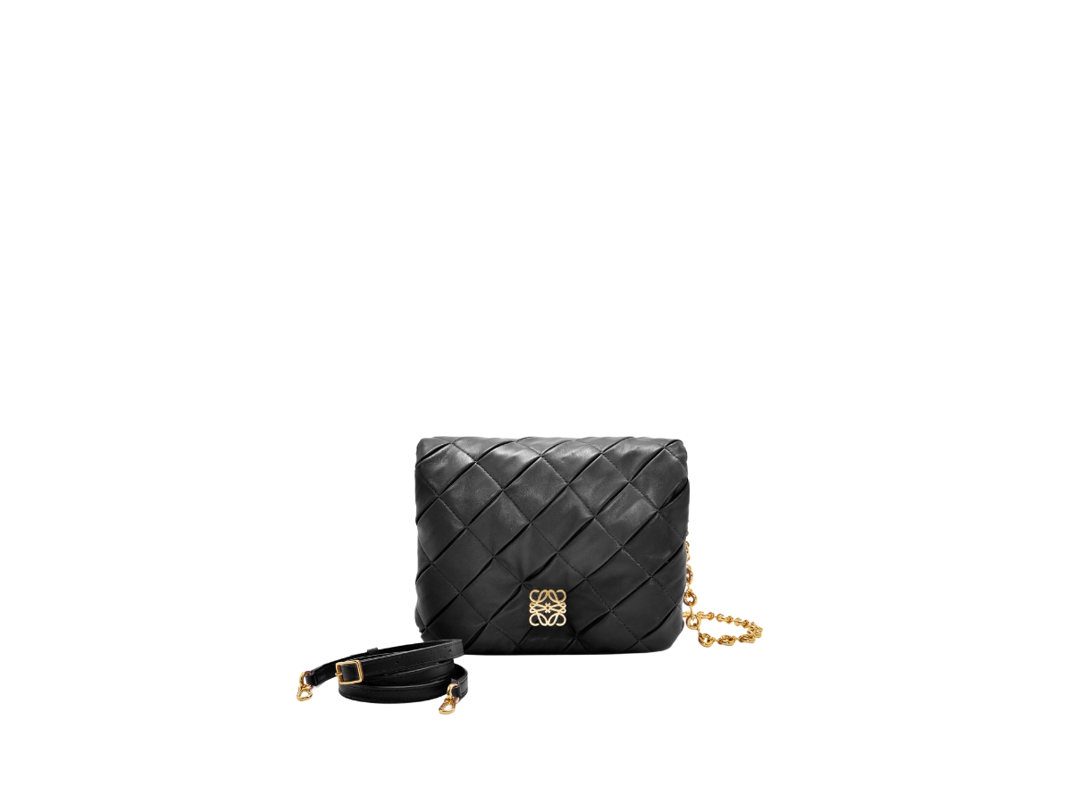 https://d2cva83hdk3bwc.cloudfront.net/loewe-puffer-goya-in-pleated-shiny-nappa-lambskin-with-gold-metallic-hardware-black-1.jpg