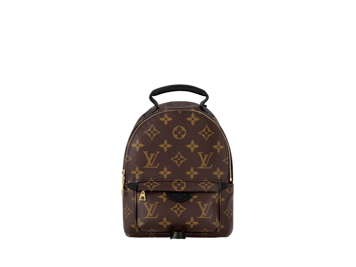 https://d2cva83hdk3bwc.cloudfront.net/louis-vuitton-palm-springs-mini-in-monogram-coated-canvas-with-gold-color-hardware-1.jpg