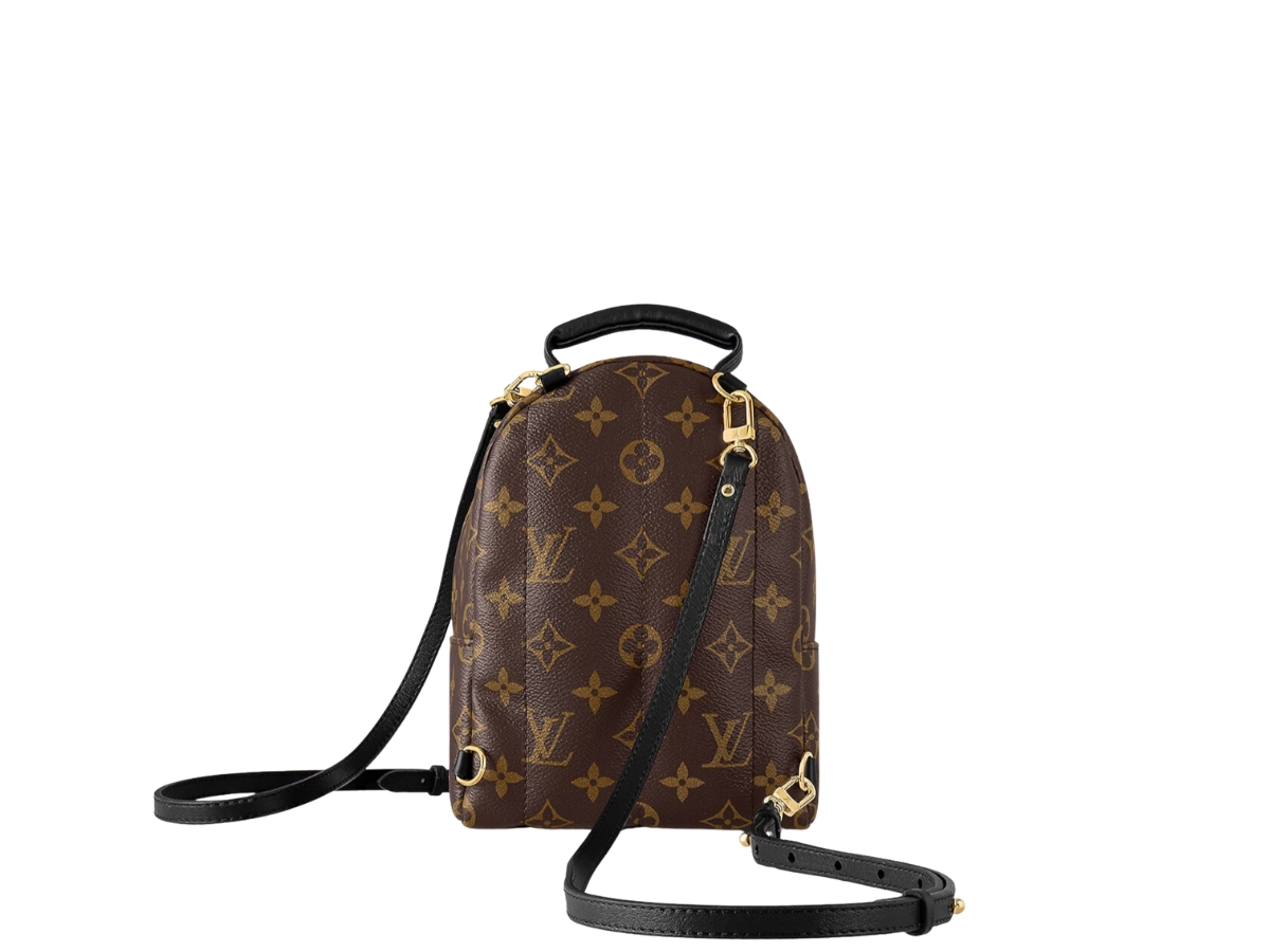 https://d2cva83hdk3bwc.cloudfront.net/louis-vuitton-palm-springs-mini-in-monogram-coated-canvas-with-gold-color-hardware-2.jpg