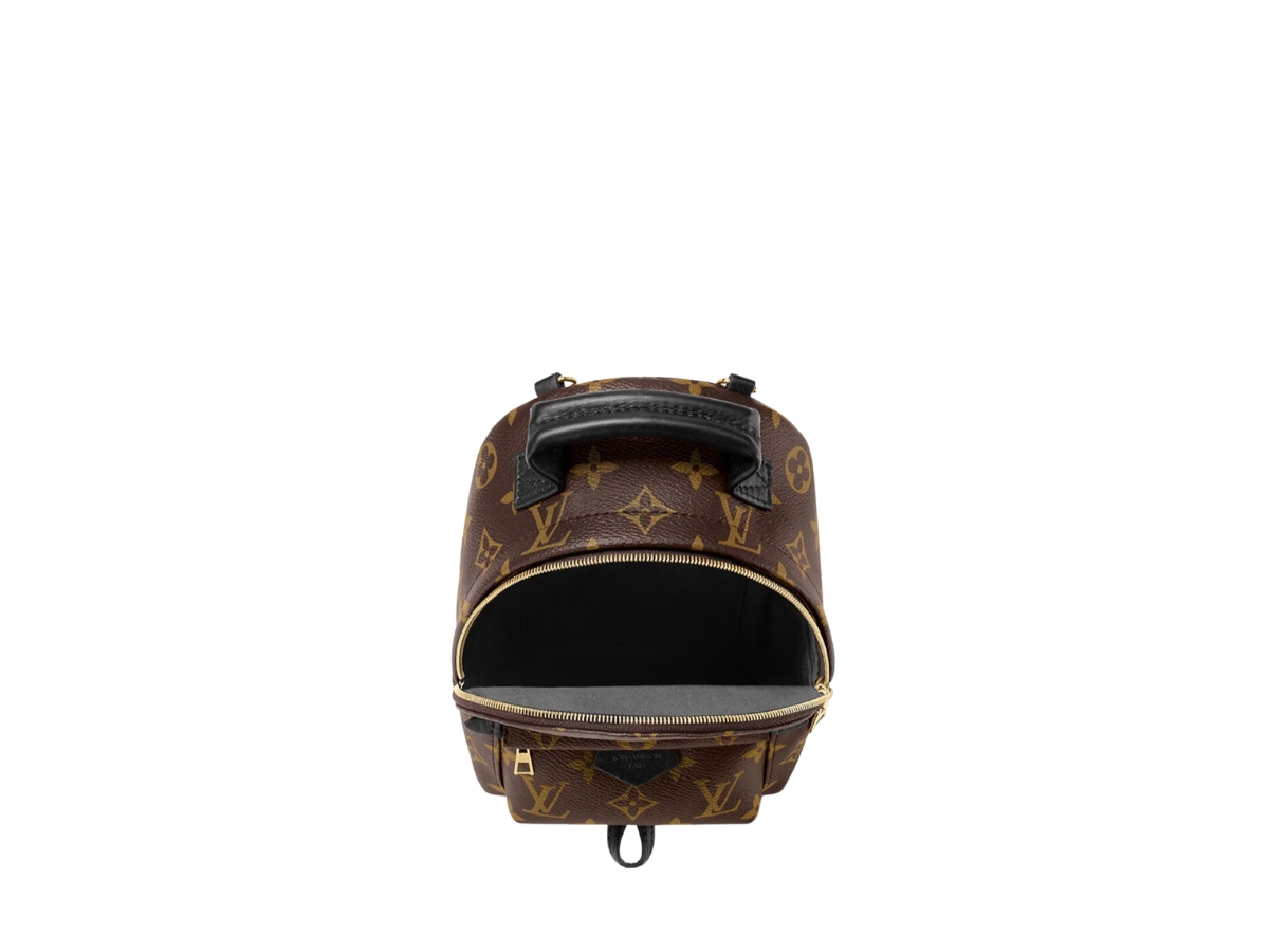 https://d2cva83hdk3bwc.cloudfront.net/louis-vuitton-palm-springs-mini-in-monogram-coated-canvas-with-gold-color-hardware-3.jpg