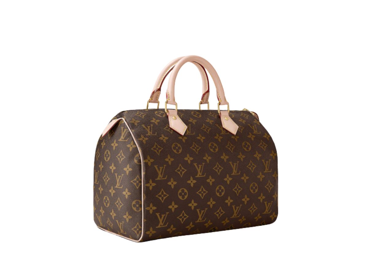 SASOM | bags Louis Vuitton Speedy 30 In Monogram Coated Canvas With ...
