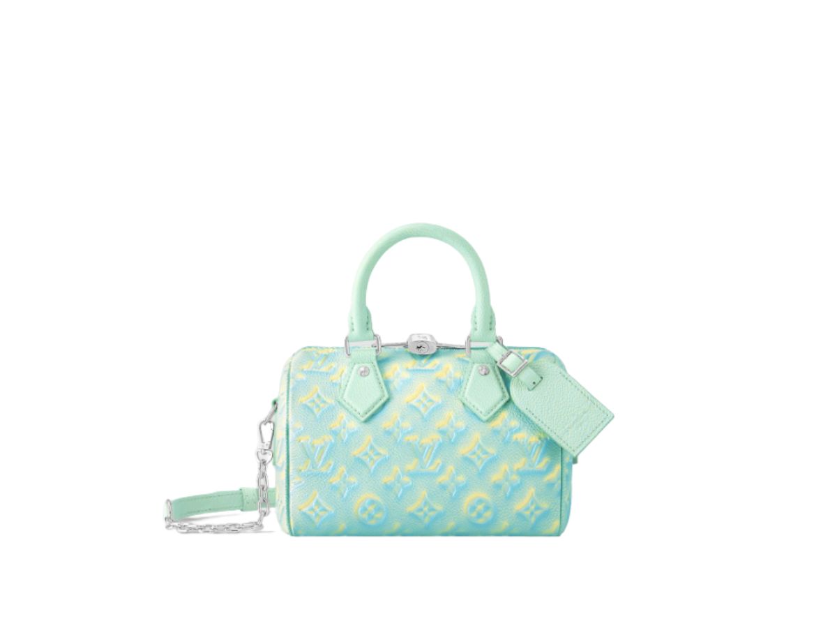 Louis Vuitton Speedy 20 Handbag Shop Authentic at SASOM