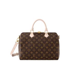 Louis Vuitton speedy buying 30