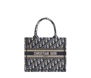 Buy Dior BookTote Embroidery Tote Bag Shopping Bag Handbag Small Size Women's Beige & Blue at Sasom – Authentic and Ready to Ship