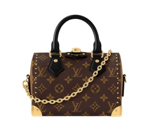 Buy Louis Vuitton Speedy Trunk 20 Brown at Sasom – Authentic and Ready to Ship