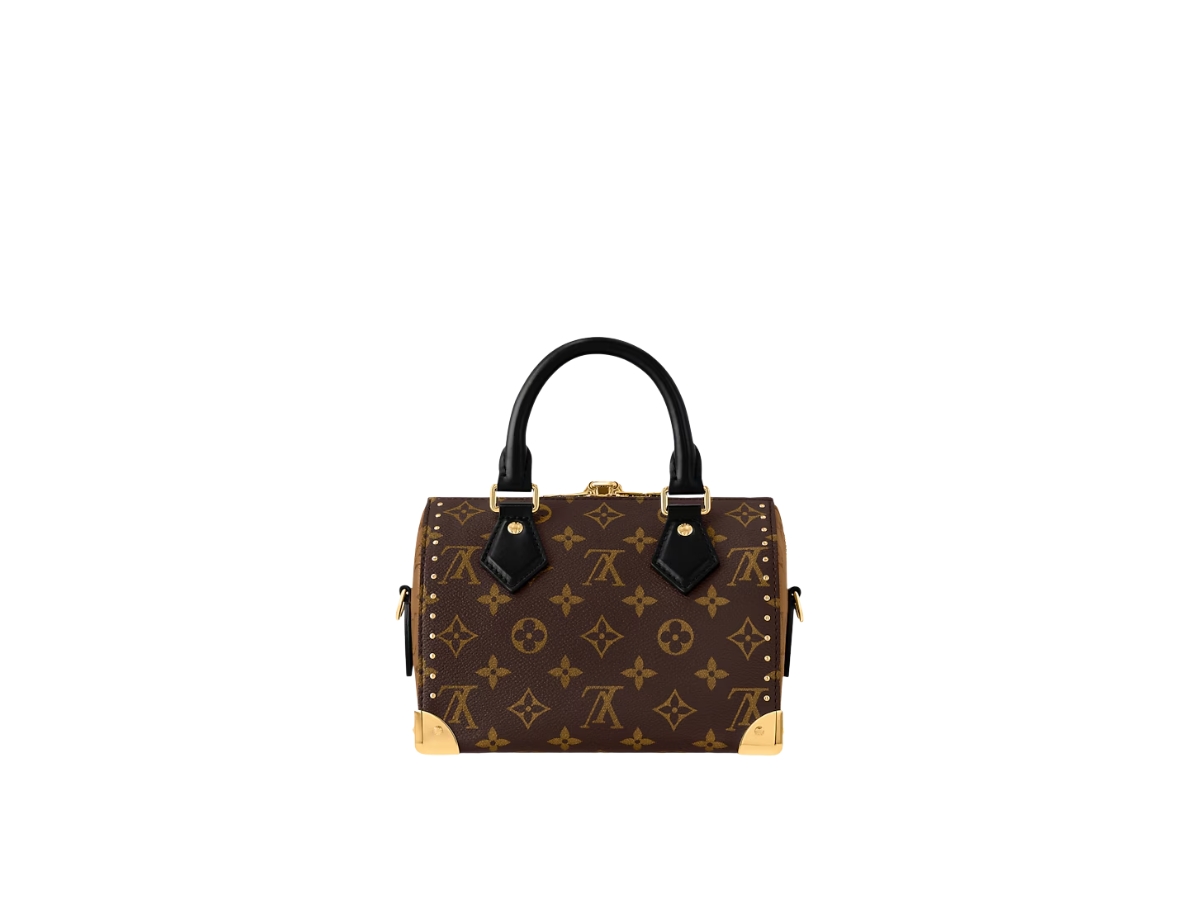 https://d2cva83hdk3bwc.cloudfront.net/m13146-louis-vuitton-speedy-trunk-20-brown-2.jpg
