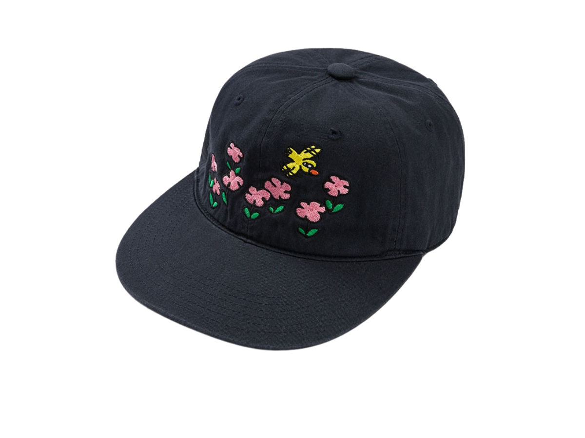 https://d2cva83hdk3bwc.cloudfront.net/mmlg-birdpit-springtime-cap-navy-2.jpg