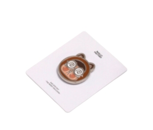 Buy Molly Factory Raccoon Sad Zoo Day Pin at Sasom – Authentic and Ready to Ship