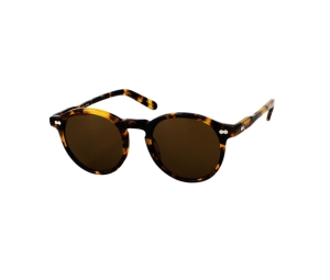 Buy Moscot Sun Miltzen 49 In Plastic Classic With Brown Lens Havana at Sasom – Authentic and Ready to Ship