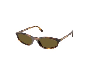 Buy Miu Miu Sunglasses In Honey Havana Plastic Frame With Dark Brown Lenses at Sasom – Authentic and Ready to Ship