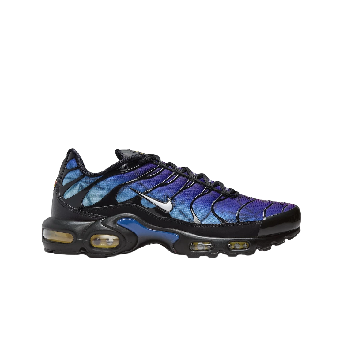 Nike air max price check sale