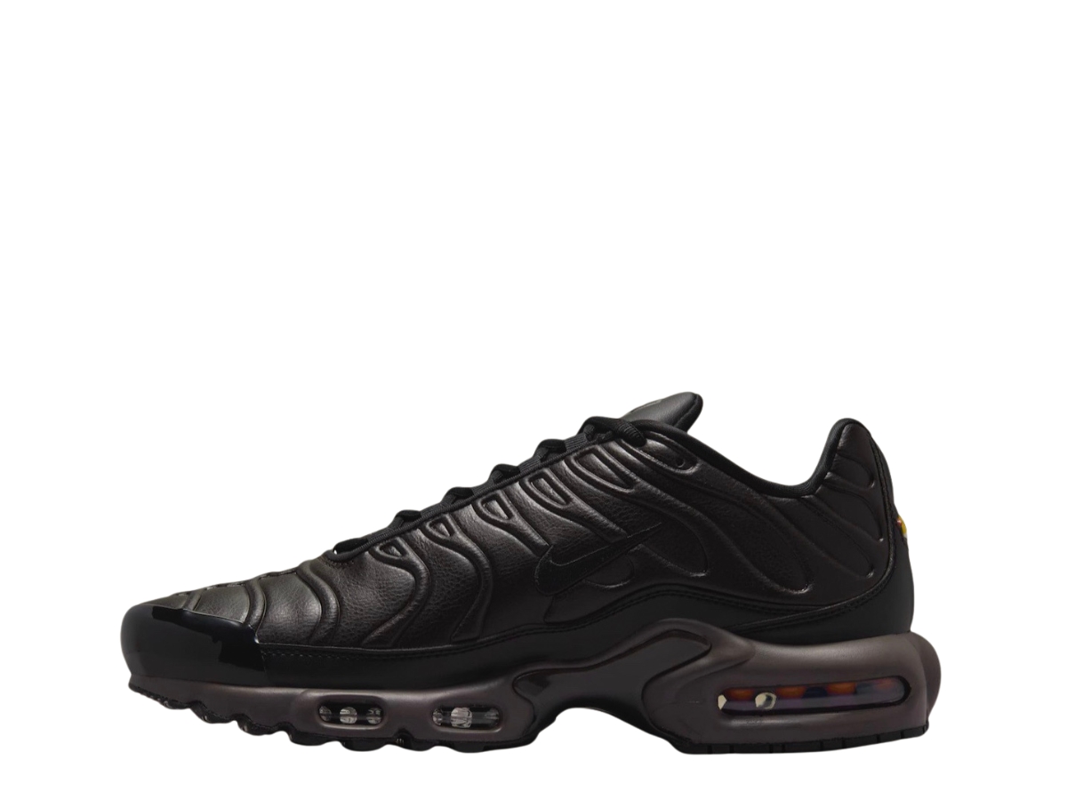 https://d2cva83hdk3bwc.cloudfront.net/nike-air-max-plus-premium-black-tea-and-petra-brown-2.jpg