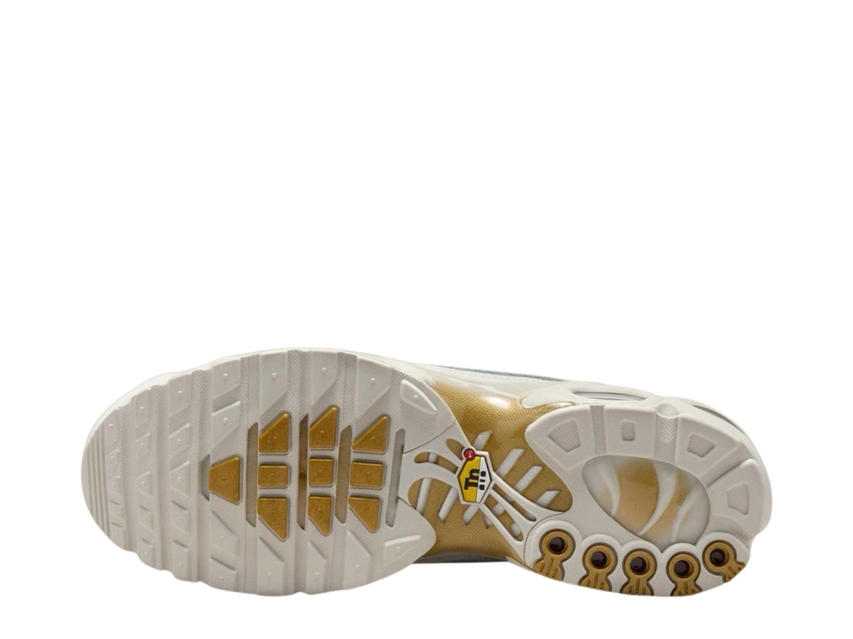 https://d2cva83hdk3bwc.cloudfront.net/nike-air-max-plus-tiempo-metallic-gold-4.jpg