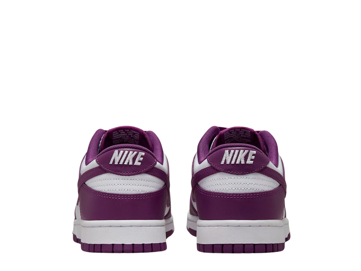 https://d2cva83hdk3bwc.cloudfront.net/nike-dunk-low-white-viotech-5.jpg