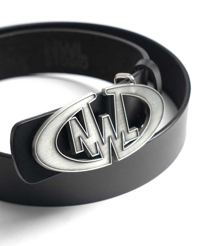 https://d2cva83hdk3bwc.cloudfront.net/nwl_-rr06-logo-belt-matte-silver-2.jpg