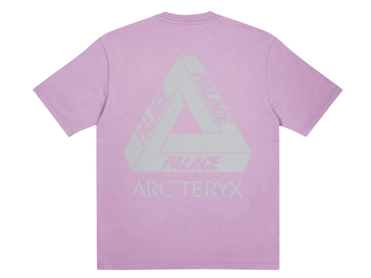 https://d2cva83hdk3bwc.cloudfront.net/palace-arc-teryx-t-shirt-haze-2.jpg