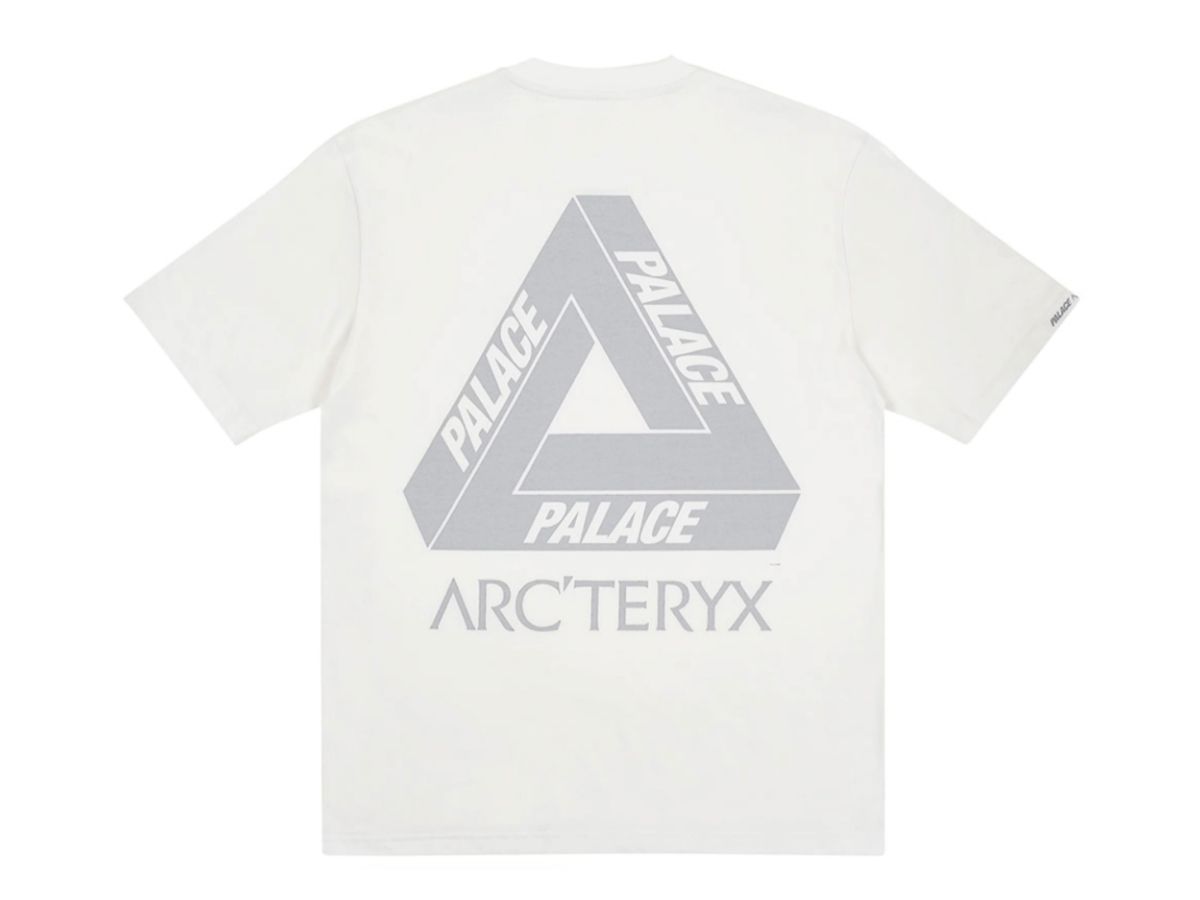 https://d2cva83hdk3bwc.cloudfront.net/palace-arc-teryx-t-shirt-white-2.jpg