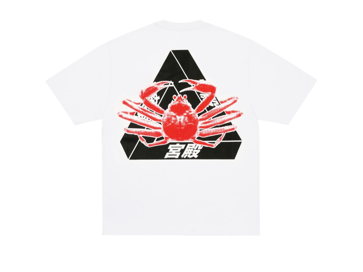 https://d2cva83hdk3bwc.cloudfront.net/palace-tsapotsw-palace-osaka-t-shirt-white-2.jpg