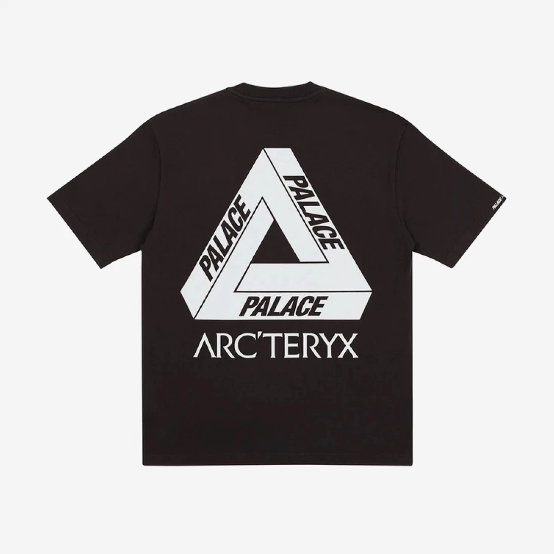 https://d2cva83hdk3bwc.cloudfront.net/palace-x-arc'teryx-t-shirt-black---20fw-2.jpg