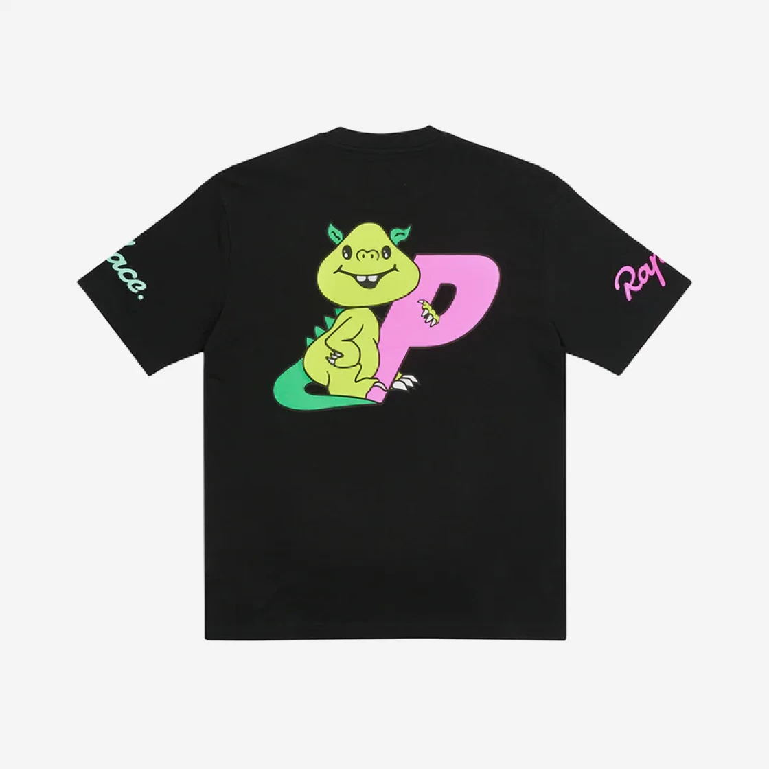 https://d2cva83hdk3bwc.cloudfront.net/palace-x-rapha-ef-education-first-t-shirt-black---22ss-2.jpg