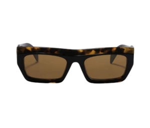 Palm Angels Empire Sunglasses In Havana With Brown Lenses