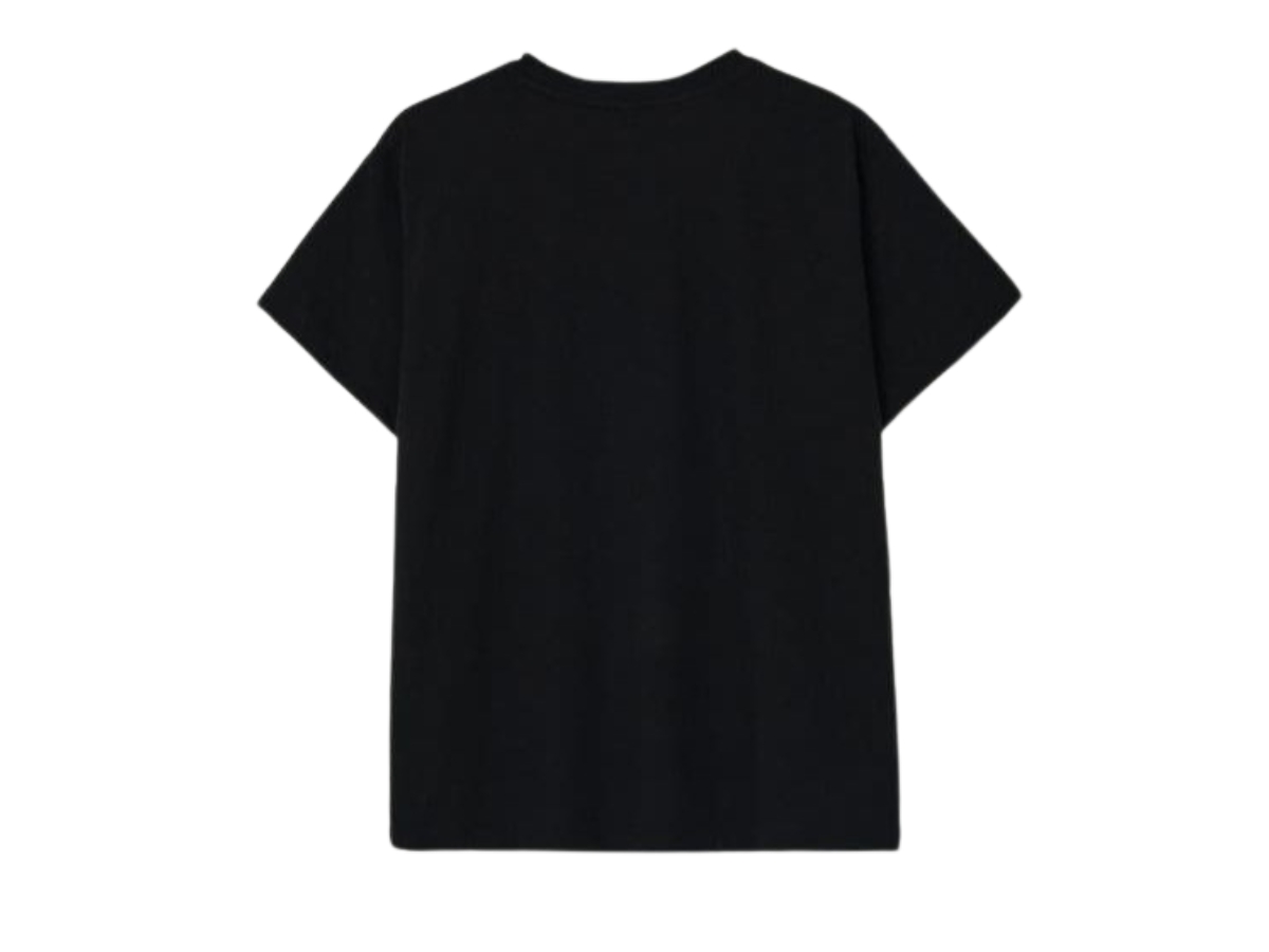 ◆24SS RONRON GINGHAM DOUBLE RIBBON BASIC FIT Tシャツ/4色◆ RONRON] Double Ribbon T-shirt (Basic Fit) – Arielle Store