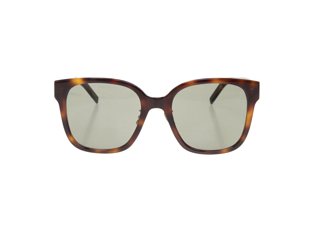 Saint Laurent SL M105/F In Rounded Acetate Frames With Nylon Lenses Havana-Light Gold