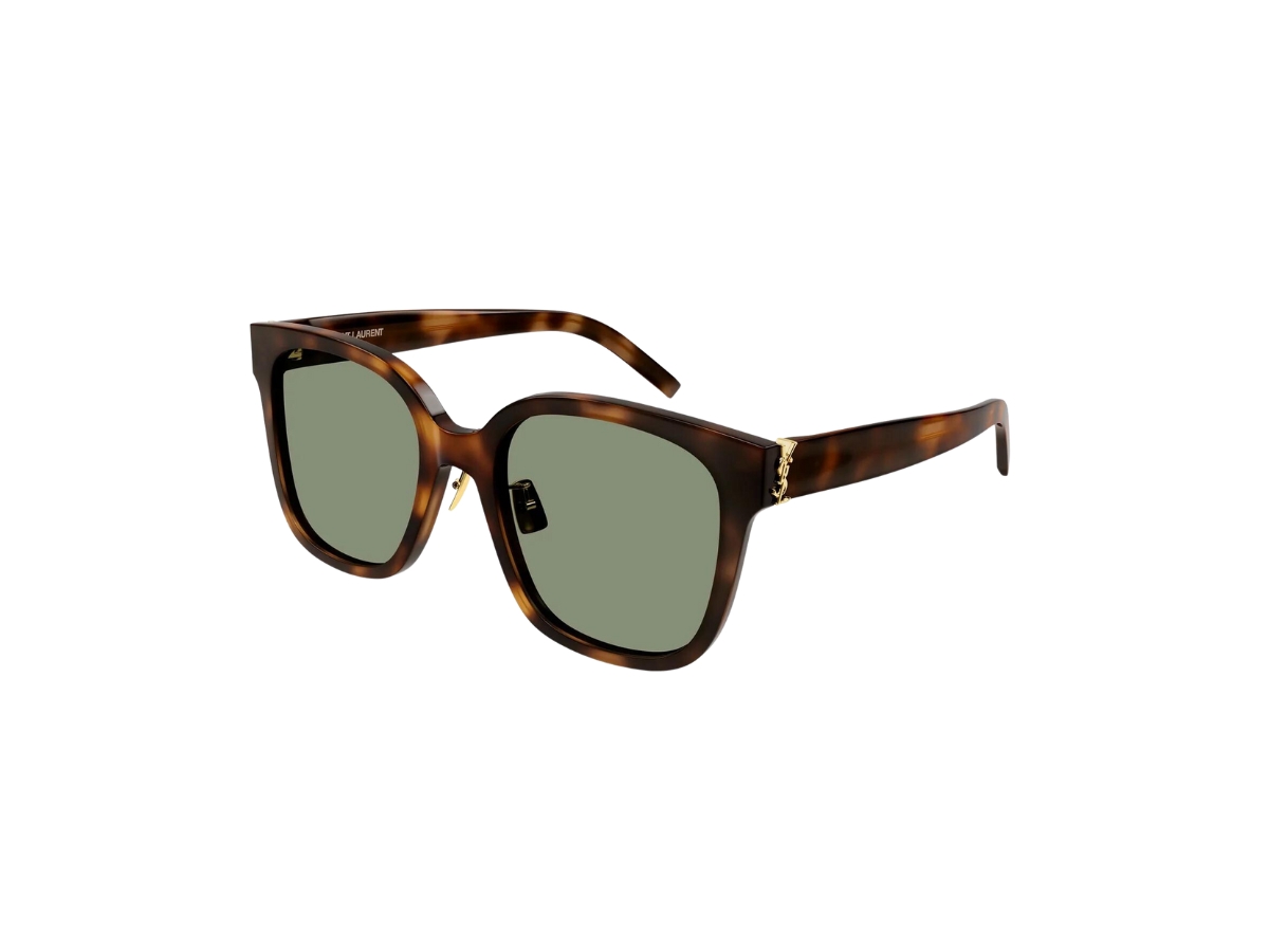 Saint Laurent SL M105/F In Rounded Acetate Frames With Nylon Lenses Havana-Light Gold