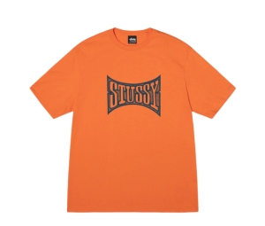 Buy Stussy Champion Tee Coral at Sasom – Authentic and Ready to Ship