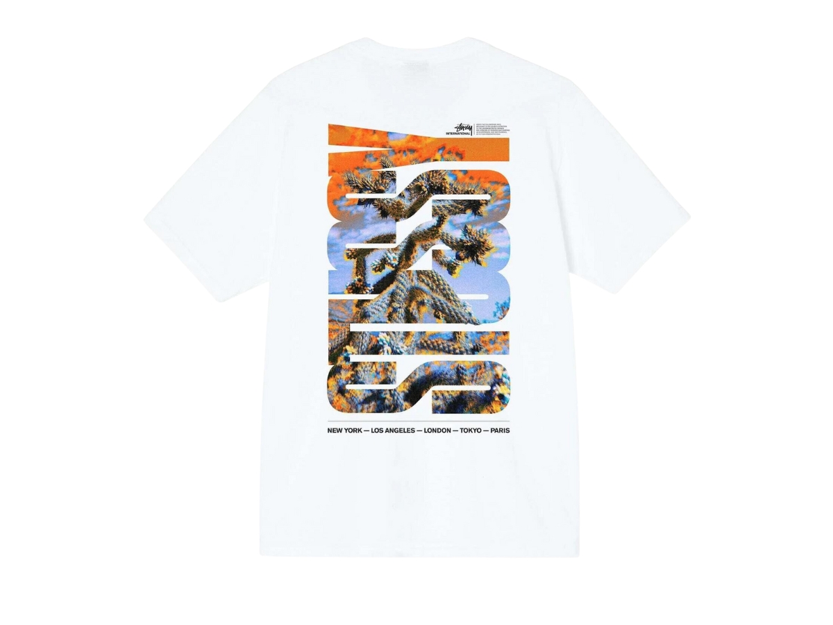 【STUSSY】DESERT SKY TEE Stussy Desert Sky Tee - Green | Garmentory