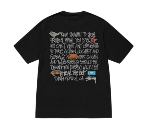 Stussy Heal The Bay Pigment Dyed Summit To Sea Tee Black
