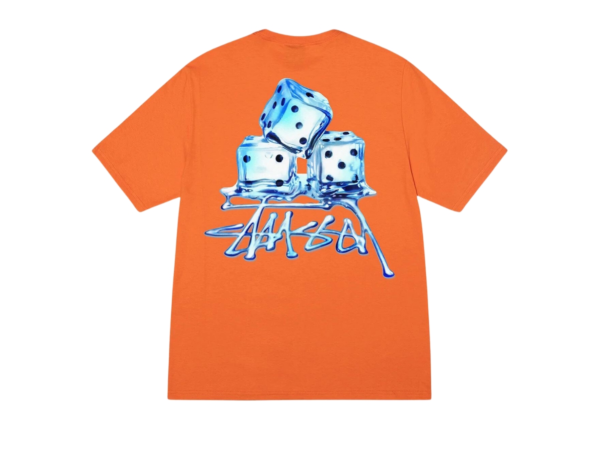 ★送料・関税込★STUSSY★MELTED TEE★Tシャツ★CORAL★ Stussy melted tee - Gem