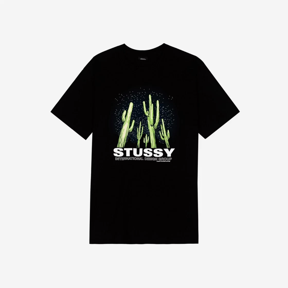 https://d2cva83hdk3bwc.cloudfront.net/stussy-saguaro-t-shirt-black-2.jpg