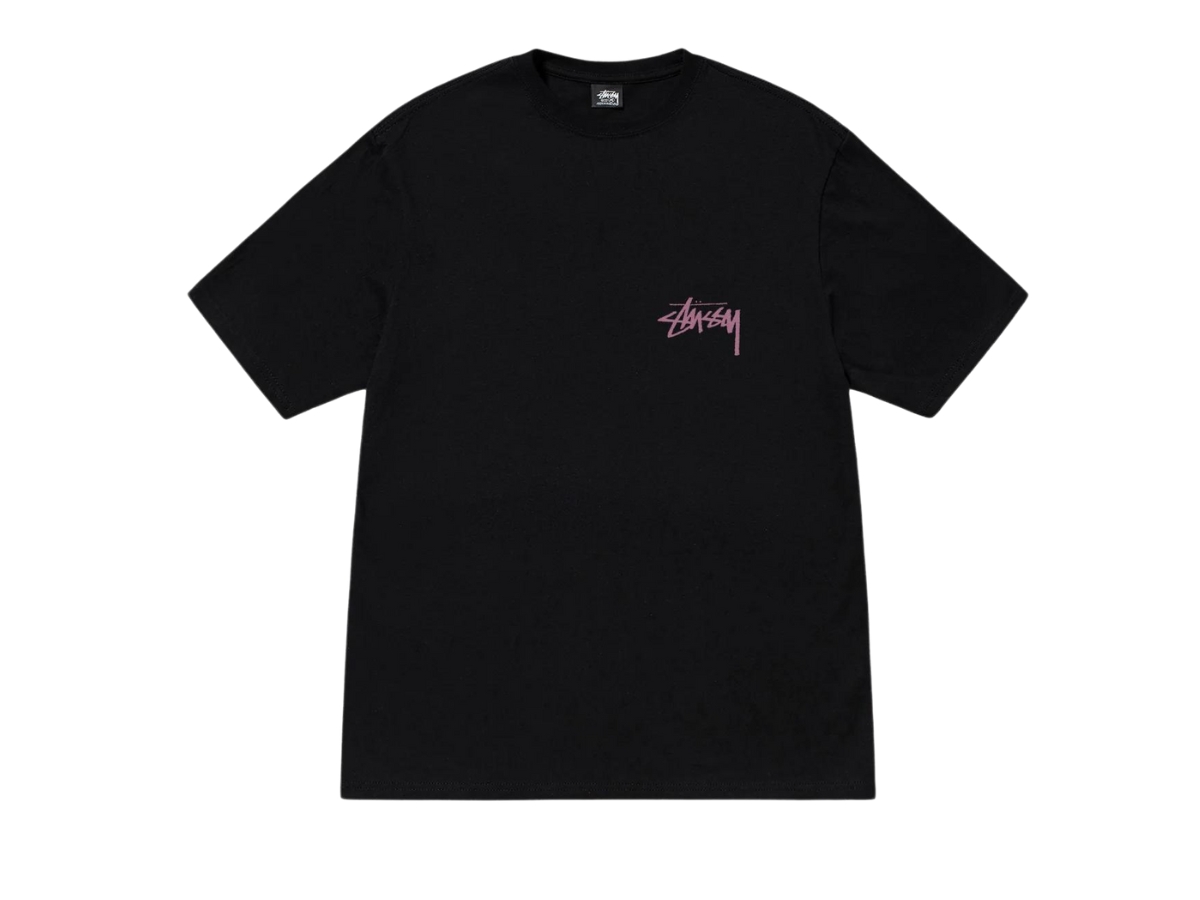 https://d2cva83hdk3bwc.cloudfront.net/stussy-skate-tough-tee-black-2.jpg