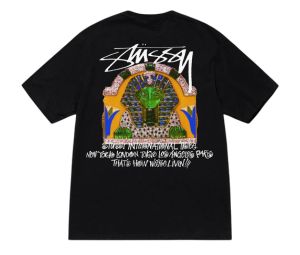 Stussy Design Group 21 Tee Black Shop Authentic at SASOM