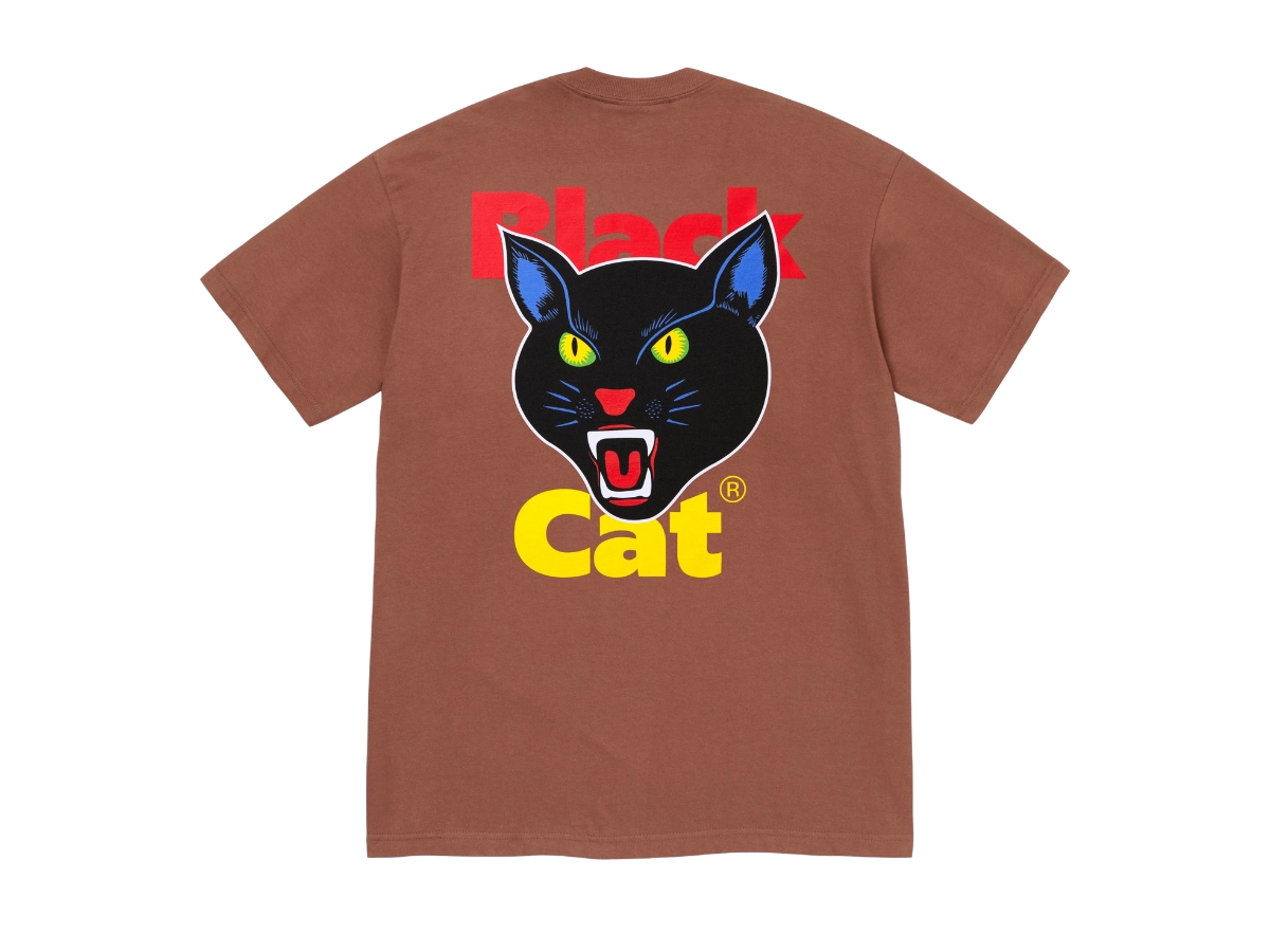 https://d2cva83hdk3bwc.cloudfront.net/supreme-black-cat-tee-brown-ss24-1.jpg