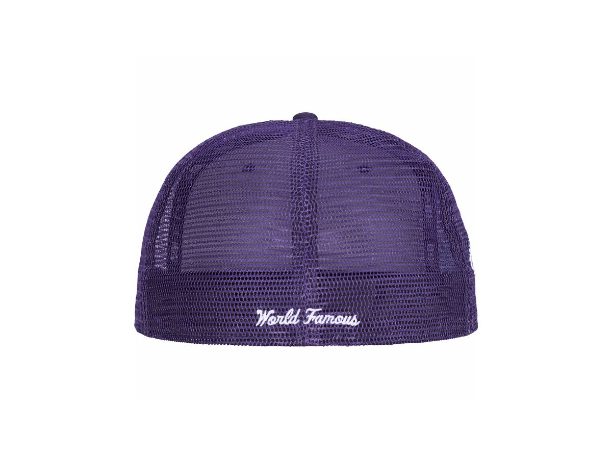 https://d2cva83hdk3bwc.cloudfront.net/supreme-box-logo-mesh-back-new-era-purple-ss24-3.jpg