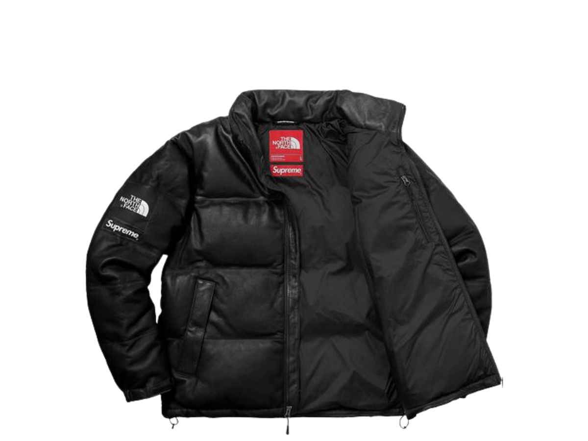 Supreme north face leather jacket online