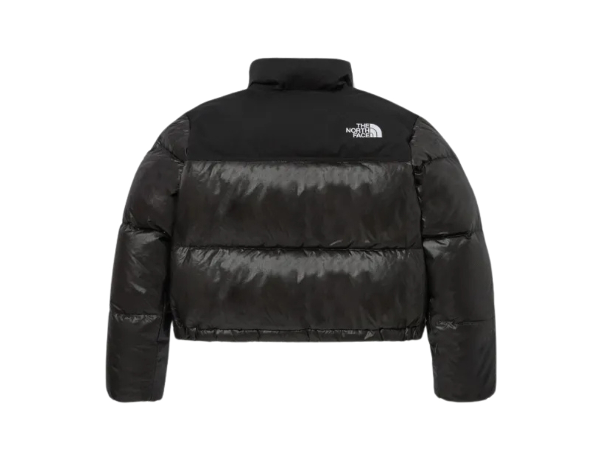 the-north-face-women-s-novelty 