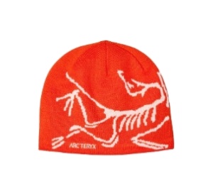 Buy Arc'teryx Bird Head Toque Dynasty Arc Silk at Sasom – Authentic and Ready to Ship