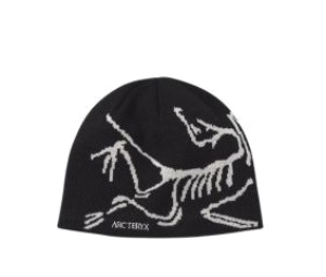 Buy Arc'teryx Bird Head Toque Orca at Sasom – Authentic and Ready to Ship